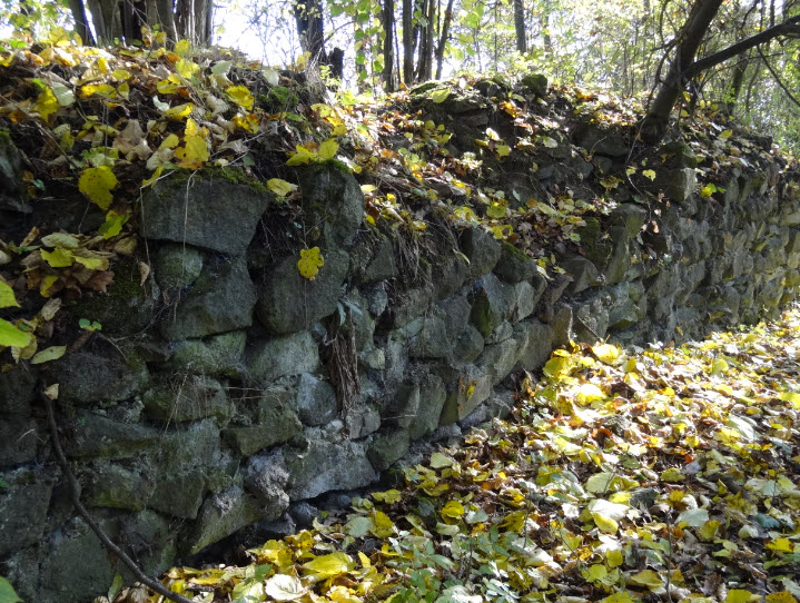 Zřícenina Hradu Ježov, Czech Republic (Czechia)